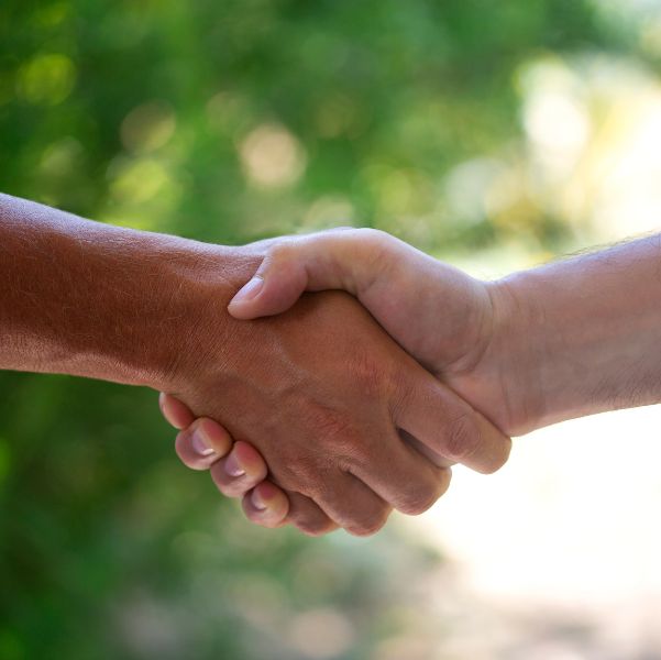 free-quotes-tree-removal-lopping-pruning